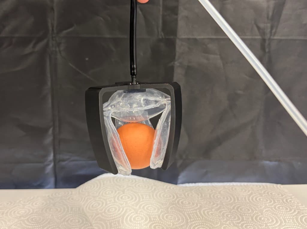 AirBear: Shape-Adaptive Grasping via Inflatable Actuation